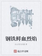 钢铁鲜血烈焰
